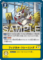 DCG-AD01-P-105 P OPTION フィジカル・トレーニング