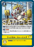 DCG-AD01-P-105 P OPTION フィジカル・トレーニング