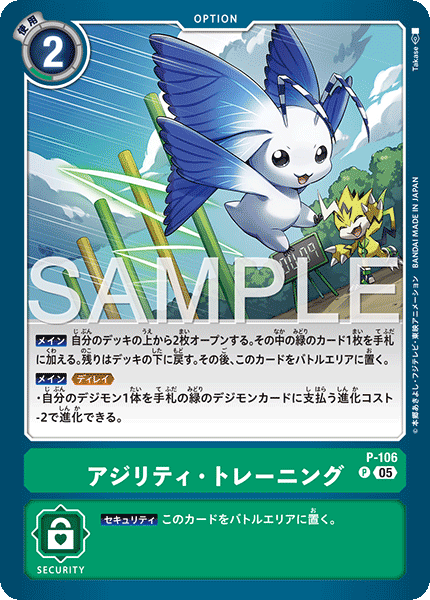 DCG-AD01-P-106 P OPTION アジリティ・トレーニング