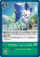 DCG-AD01-P-106 P OPTION アジリティ・トレーニング