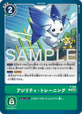 DCG-AD01-P-106 P OPTION アジリティ・トレーニング
