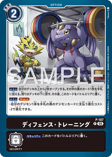 DCG-AD01-P-107 P OPTION ディフェンス・トレーニング