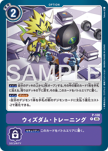 DCG-AD01-P-108 P OPTION ウィズダム・トレーニング