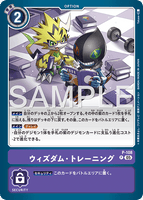 DCG-AD01-P-108 P OPTION ウィズダム・トレーニング