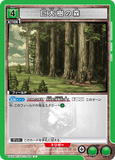 UA23BT/AOT-1-062 U 巨大樹の森