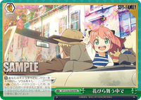 SPY/S106-056R RRR 花びら舞う中で