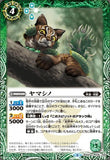 BS48-036 ヤマシノ