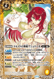 BS55-055 M The Druid Dance Princess, Ashleca