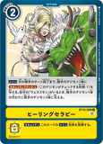 DCG-BT10-099 C Option ヒーリングセラピー