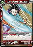DBSCG-BT2-007 C Fully Trained Son Gohan