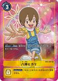 DCG-BT2-087 R-P Tamer 八神ヒカリ