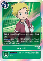 DCG-BT8-091 R Tamer ウォレス