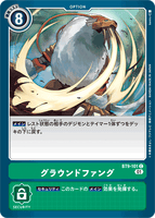 DCG-BT9-101 C Option グラウンドファング