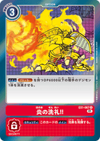 DCG-EX1-067 R Option 炎の洗礼！！