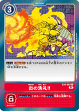 DCG-EX1-067 R Option 炎の洗礼！！