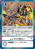 DCG-EX1-071 R Option しょうりつ60％！