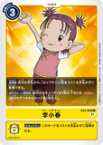 DCG-EX2-059 U Tamer 李小春
