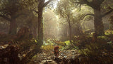 PS4 Ghost Of A Tale Collector's Edition