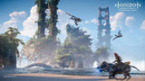PS5 Horizon Forbidden West