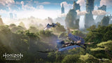 PS5 Horizon Forbidden West