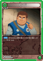 UA03BT/HTR-1-083 C トンパ