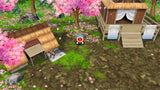 NS Taiko no Tatsujin: Rhythmic Adventure Pack