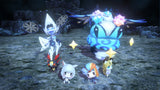 NS World of Final Fantasy Maxima